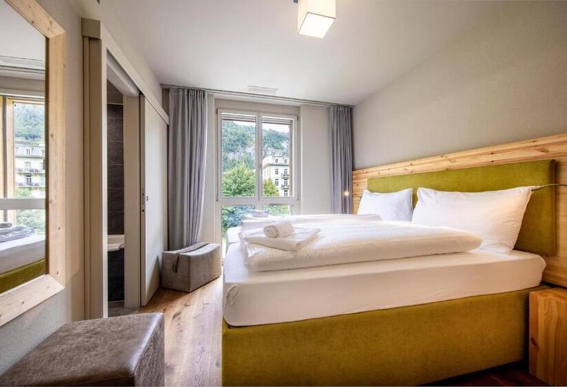 Апартаменты Deluxe 1 Спальня, Swisspeak Resorts Meiringen
