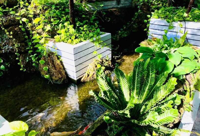 سوییت خانوادگی, D Eco Hotel Pattaya