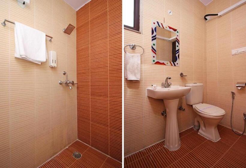 Номер Deluxe, Roshan Haveli