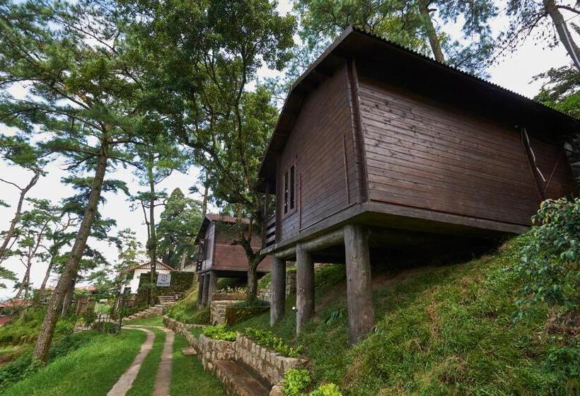 Дом 1 Спальня, The Heritage Club   Tripura Castle