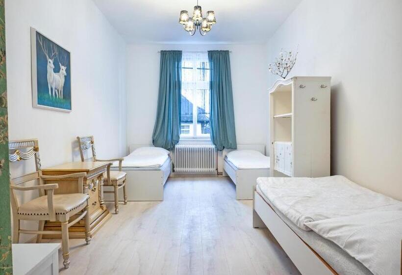 Трехместный Номер Стандарт Совместная Ванная, Vila Opočno