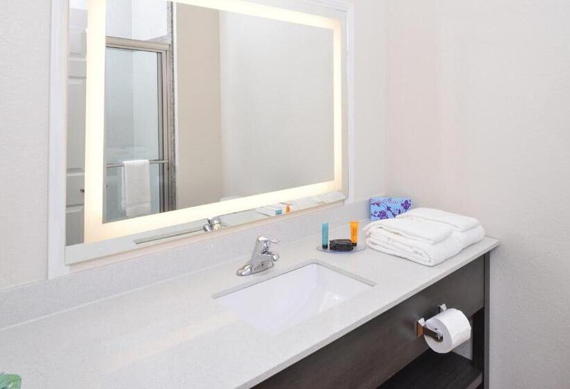 Студия Стандарт, Regency Inn & Suites Nw Houston