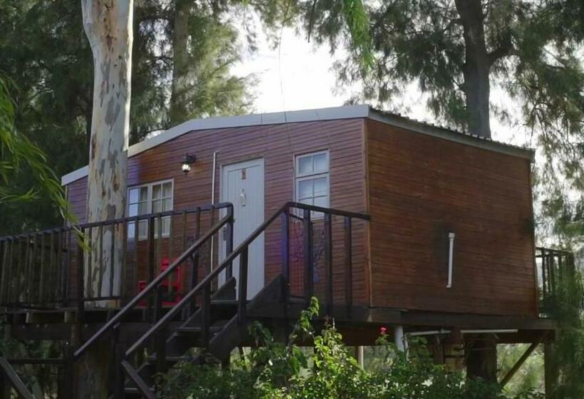 Дом 1 Спальня, Vindoux Tree House Guest Farm & Spa
