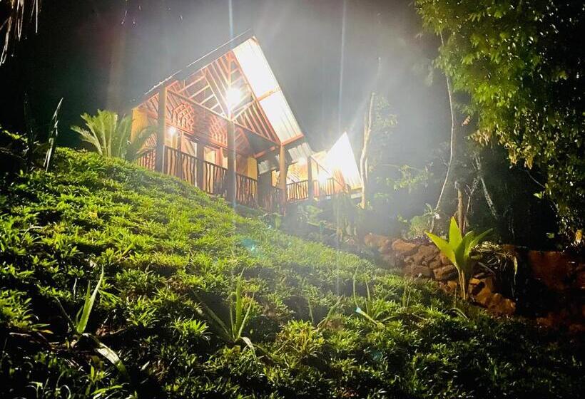 Семейный Номер Superior, The Rainforest Hideaway