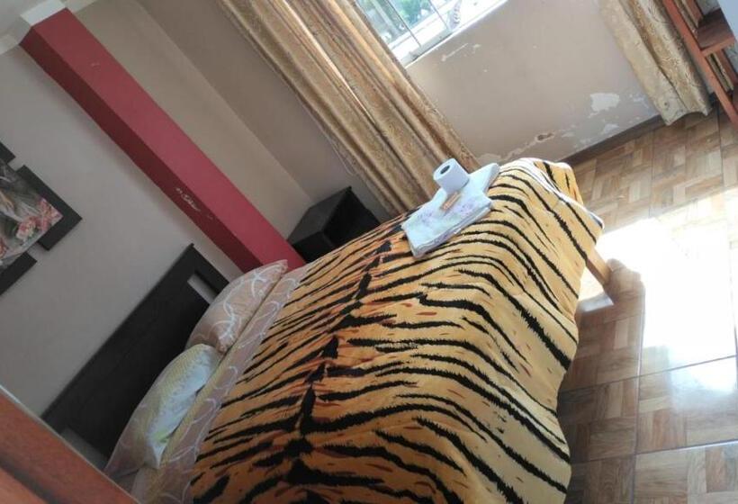 اتاق استاندارد یک نفره, Rosita S House Hospedaje