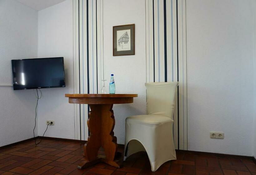 اتاق استاندارد یک نفره, Dreikausens Landgasthaus Wildhof