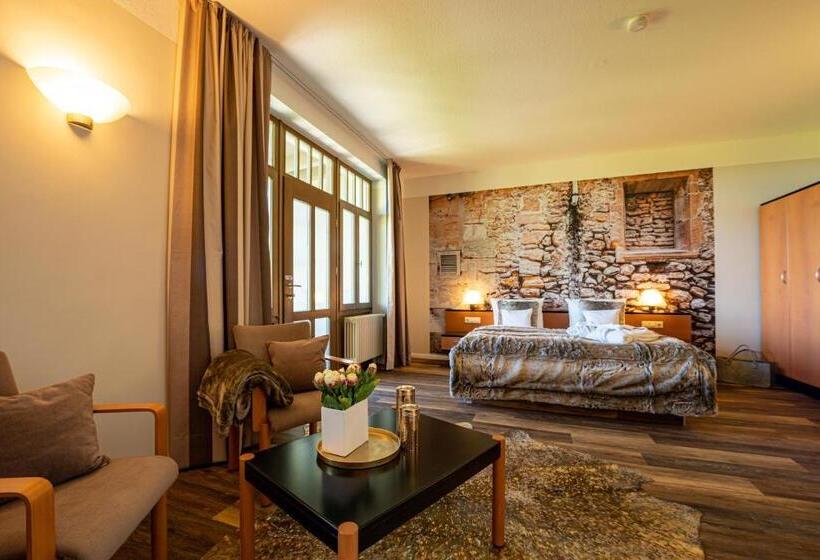 Номер Deluxe, Villa Halliger