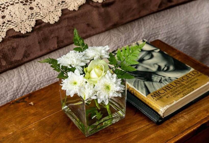 수피리어 스위트, Terra Casa Guesthouse