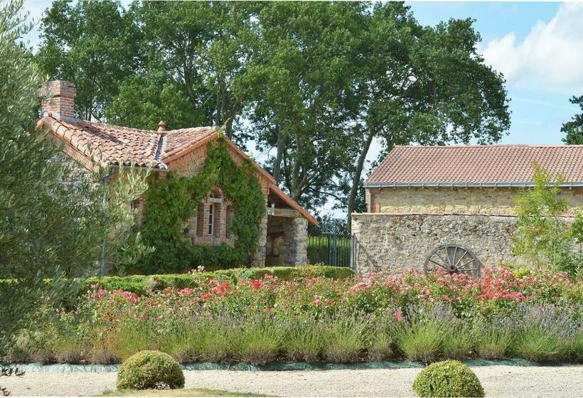 Одноместный Номер Basic, B&b Domaine De La Corbe