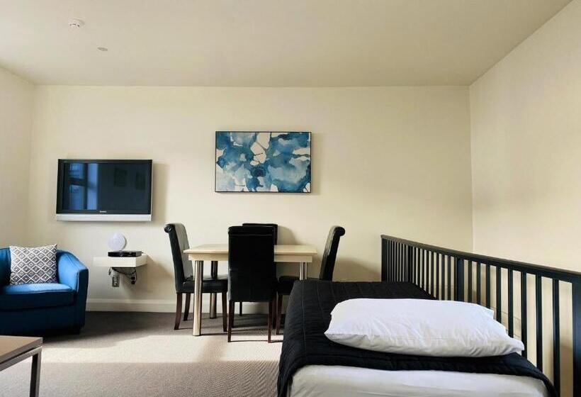 침실 1개 프리미엄 아파트, 315 Euro Motel And Serviced Apartments