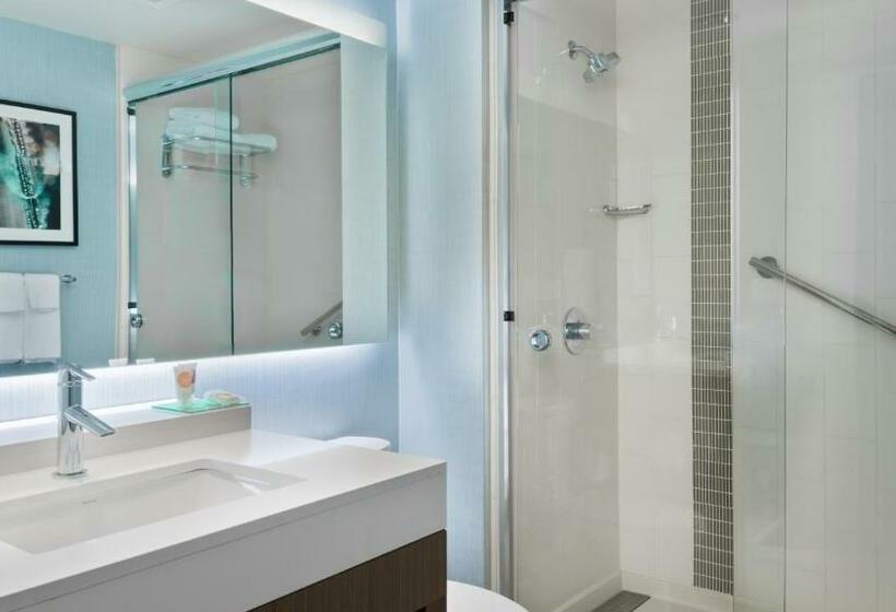 Стандартный Номер Кровать Кинг, Hyatt Place Austin/round Rock