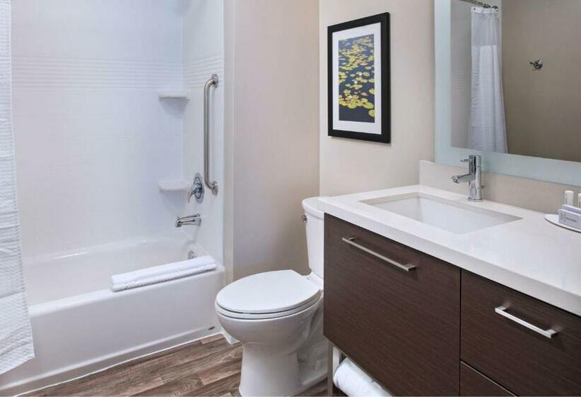Студия Стандарт, Towneplace Suites By Marriott Lakeland