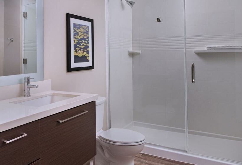 Люкс Адаптированный для Инвалидов, Towneplace Suites By Marriott Lakeland
