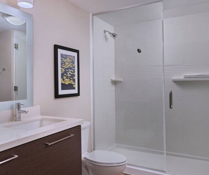 Люкс Адаптированный для Инвалидов, Towneplace Suites By Marriott Lakeland