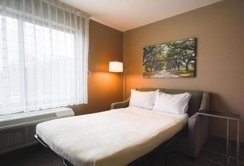 Студия Стандарт, Towneplace Suites By Marriott Slidell