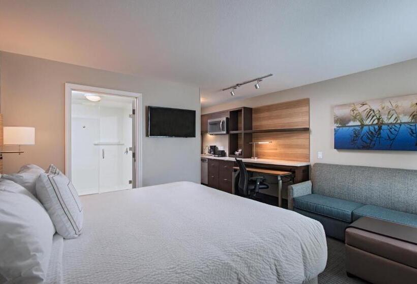 Студия Стандарт, Towneplace Suites By Marriott Lakeland
