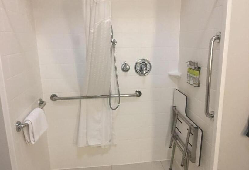 Номер Стандарт Кровать Кинг Адаптированный для Инвалидов, Holiday Inn Express & Suites   Brenham South, An Ihg