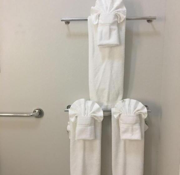 Люкс Адаптированный для Инвалидов, Holiday Inn Express & Suites   Brenham South, An Ihg