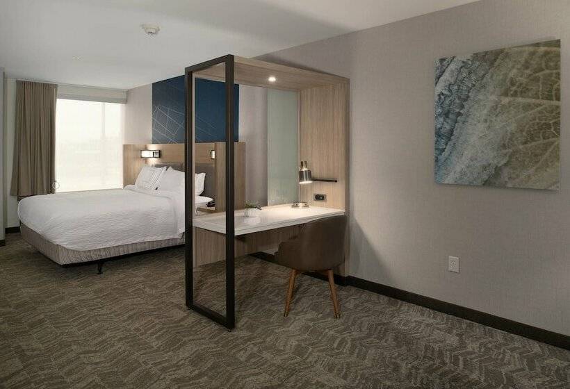 Люкс, Springhill Suites By Marriott Austin Cedar Park