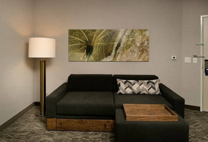 Люкс, Springhill Suites By Marriott Austin Cedar Park