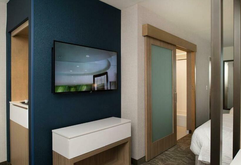 Люкс Кровать Кинг, Springhill Suites By Marriott Austin Cedar Park