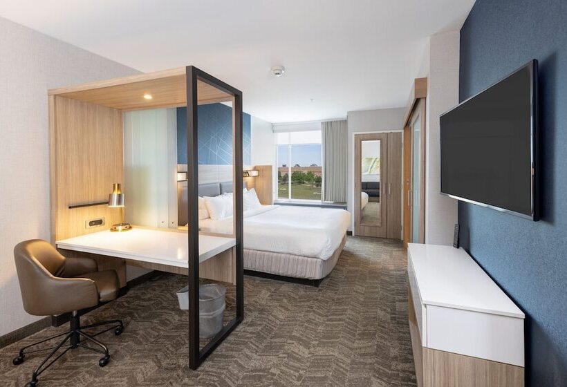 Люкс, Springhill Suites By Marriott Austin Cedar Park