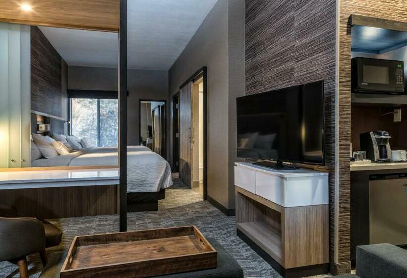 Люкс, Springhill Suites By Marriott Springdale Zion National Park