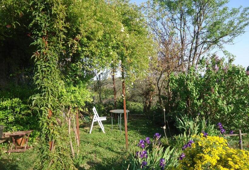 Номер Стандарт, La Colline Bleue