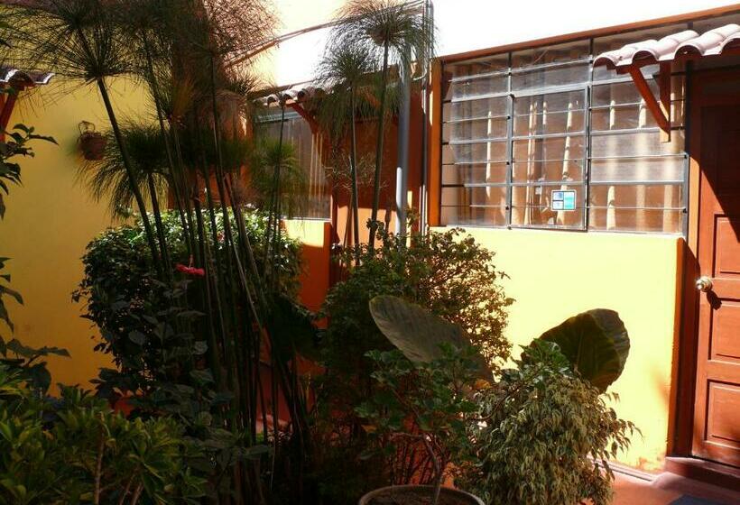 스탠다드 룸, Hostal Los Apus