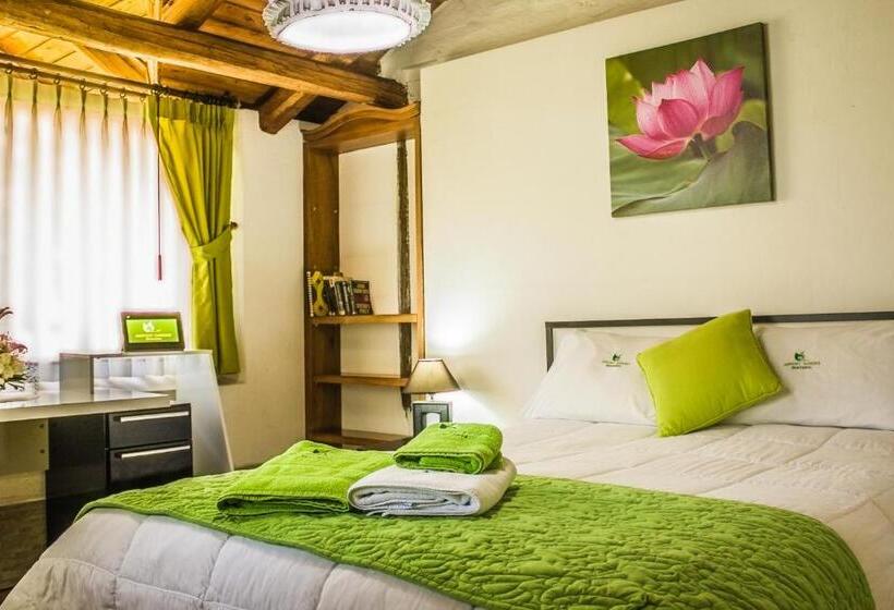 اتاق استاندارد یک نفره, Hosteria Airport Garden