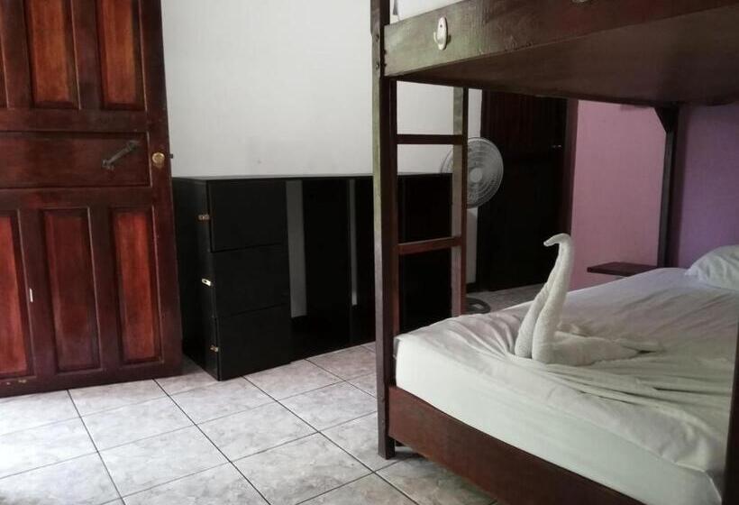 Кровать в Общей Комнате, Aracari Garden Hostel