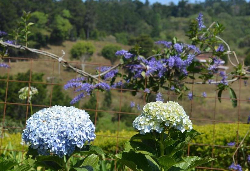 Четырехместный Номер Deluxe, Finca Paraiso Mountain Retreat Near San Jose Airport