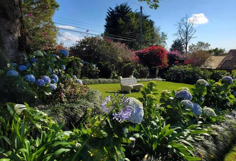 جناح ديلوكس, Finca Paraiso Mountain Retreat Near San Jose Airport