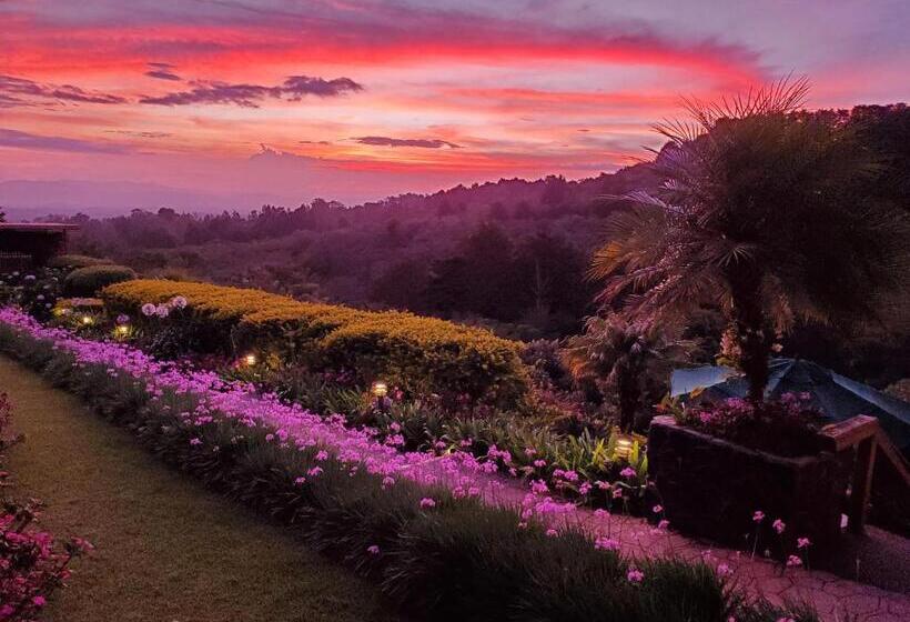 Люкс Повышенной Комфортности, Finca Paraiso Mountain Retreat Near San Jose Airport