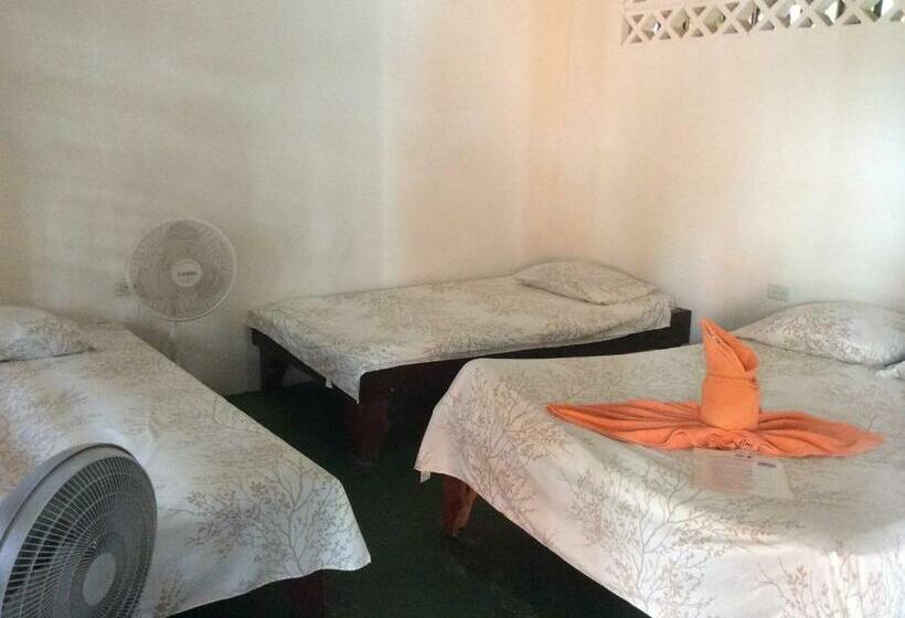 اتاق استاندارد سه نفره, Cabinas Balcon Del Mar Tortuguero