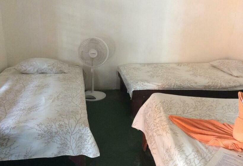 اتاق استاندارد سه نفره, Cabinas Balcon Del Mar Tortuguero