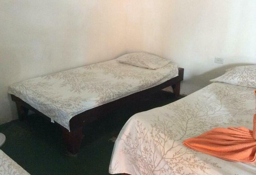 اتاق استاندارد سه نفره, Cabinas Balcon Del Mar Tortuguero