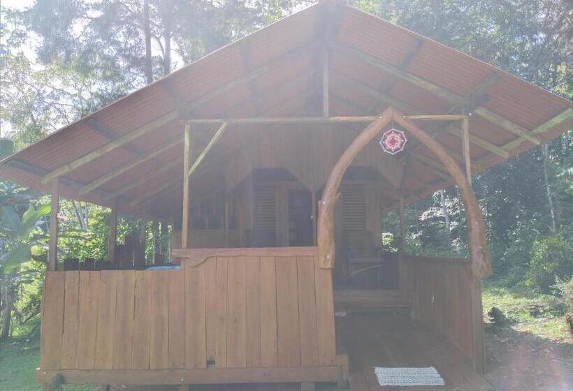 Номер Deluxe, Casa Drake Lodge
