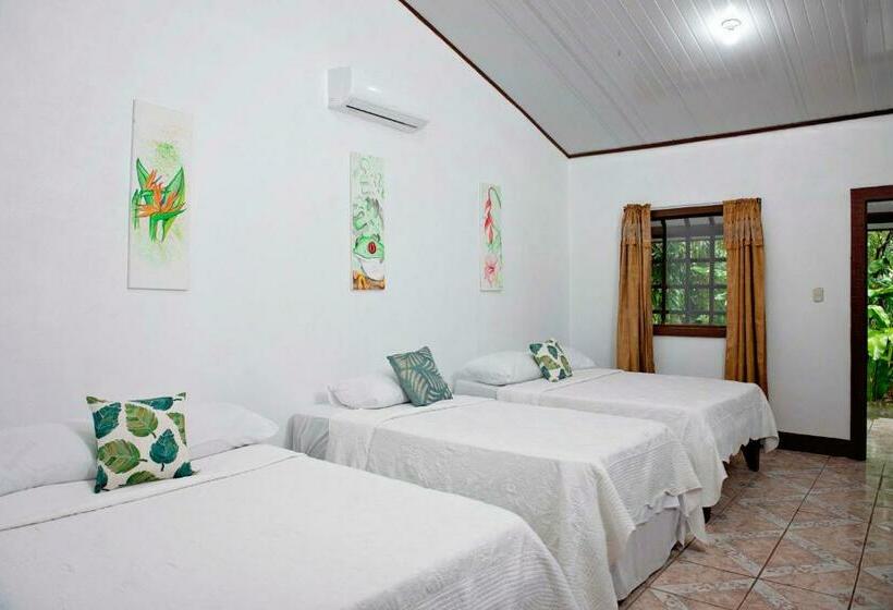 Семейный Номер Вид на Сад, Tortuguero Beachfront