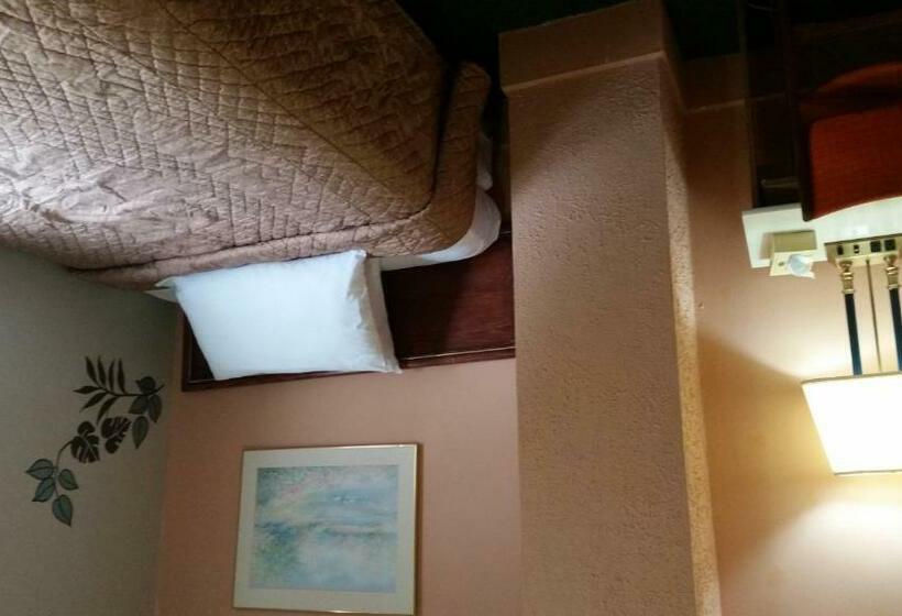 带共用浴室的标准房间, A Voyageur S Guest House