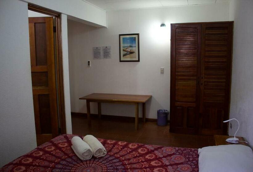 Номер Стандарт, Hostel Tajalín