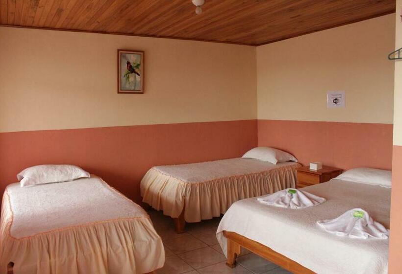 اتاق استاندارد چهار تخته, La Puesta Del Sol B&b