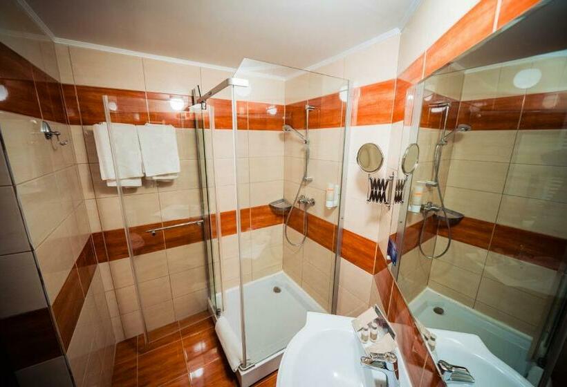 스탠다드 룸, Bacolux Afrodita Resort & Spa, Herculane