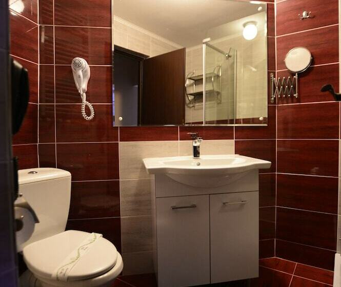 스탠다드 룸, Bacolux Afrodita Resort & Spa, Herculane
