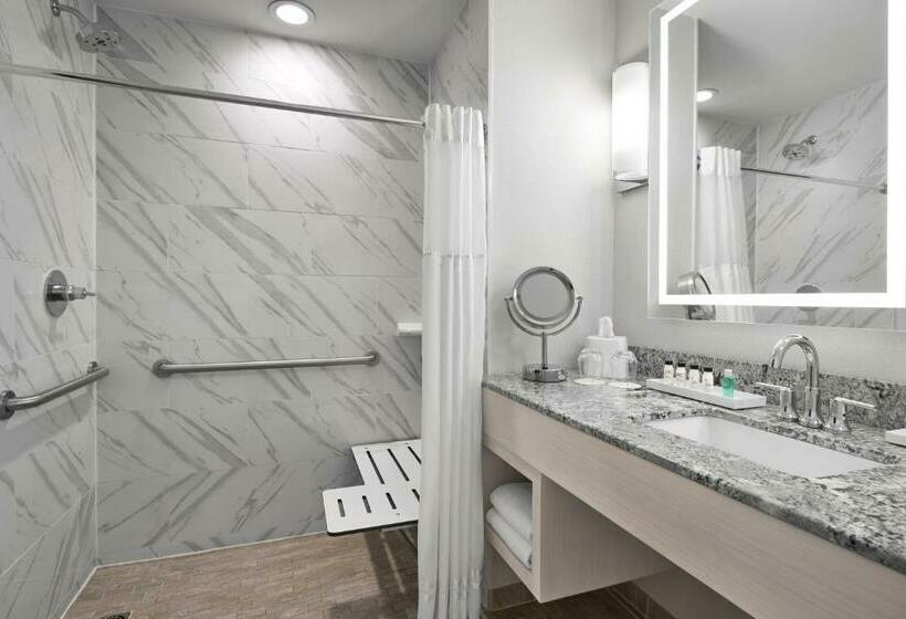 חדר דחוקס עם מיטת קינג, Sonesta Hotel Baltimore Inner Harbor