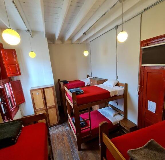 سرير فى غرفة مشتركه, Flying Dog Hostel