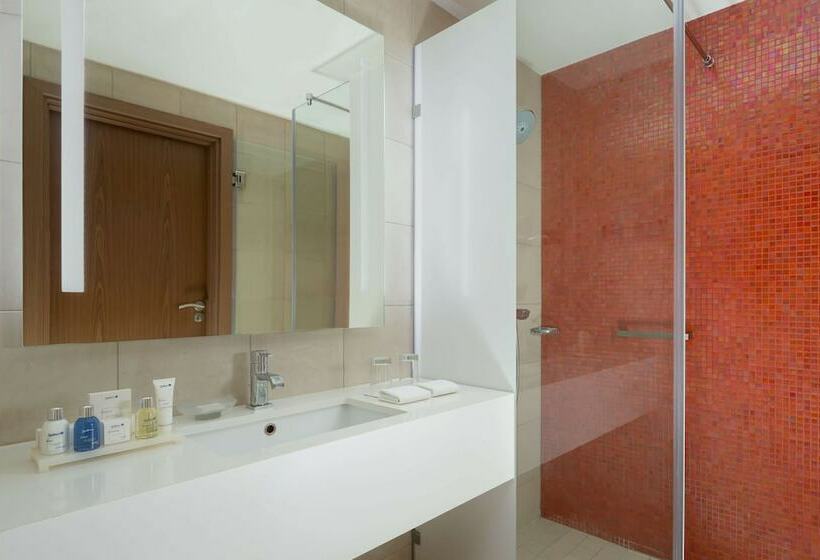 اتاق اجرایی, Radisson Blu  Moscow Sheremetyevo Airport