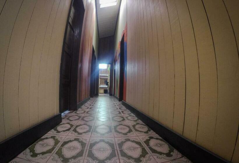 Номер Стандарт, Hostel Casa De Las Palmas Tours