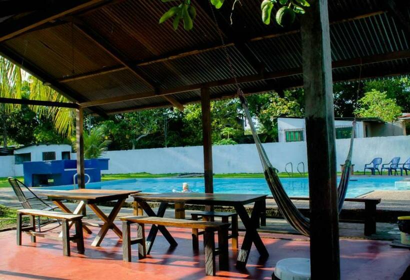 Номер Стандарт, Hostel Casa De Las Palmas Tours