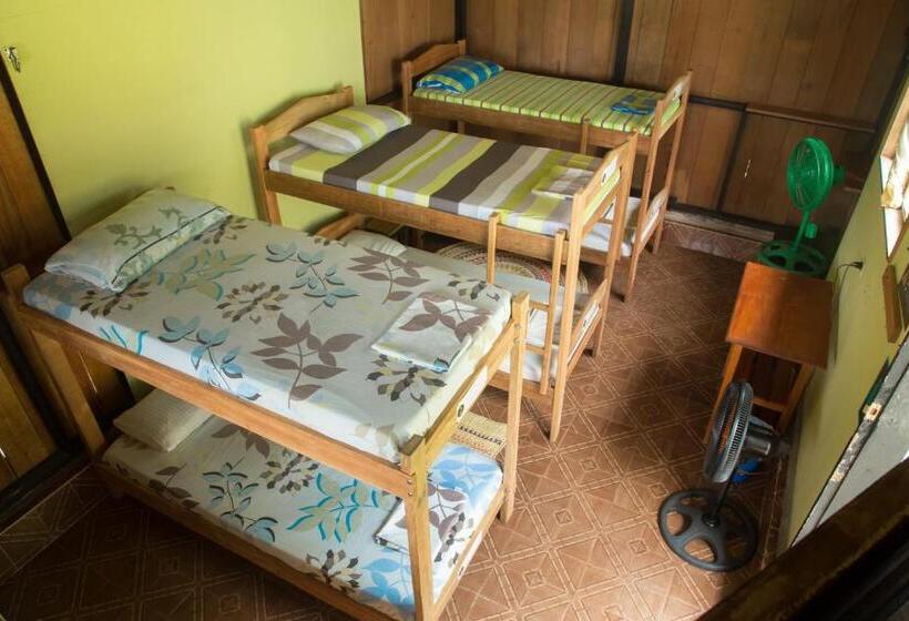 Кровать в Общей Комнате, Hostel Casa De Las Palmas Tours
